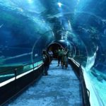 AquaRio